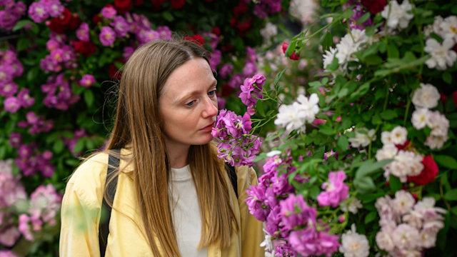 Women smelling roses at RHS Chelsea Flower Show