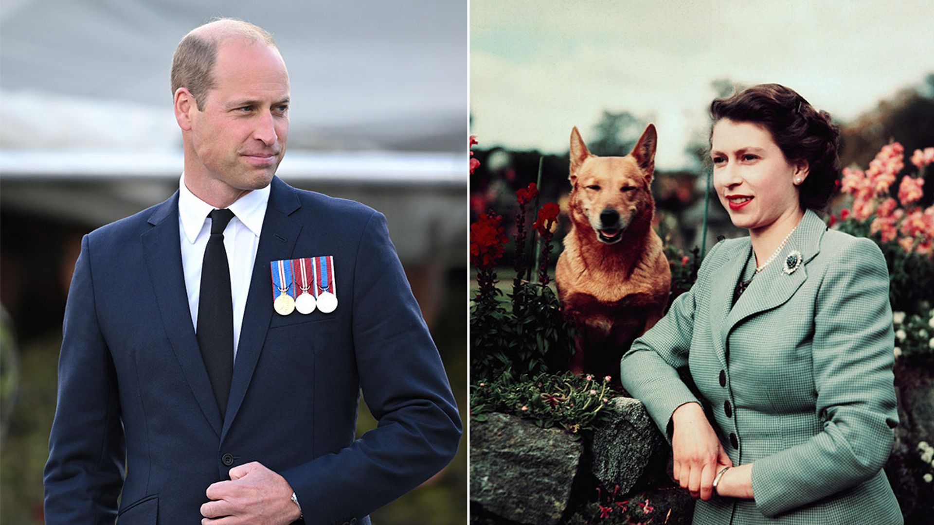 prince william what happens to the queens corgis