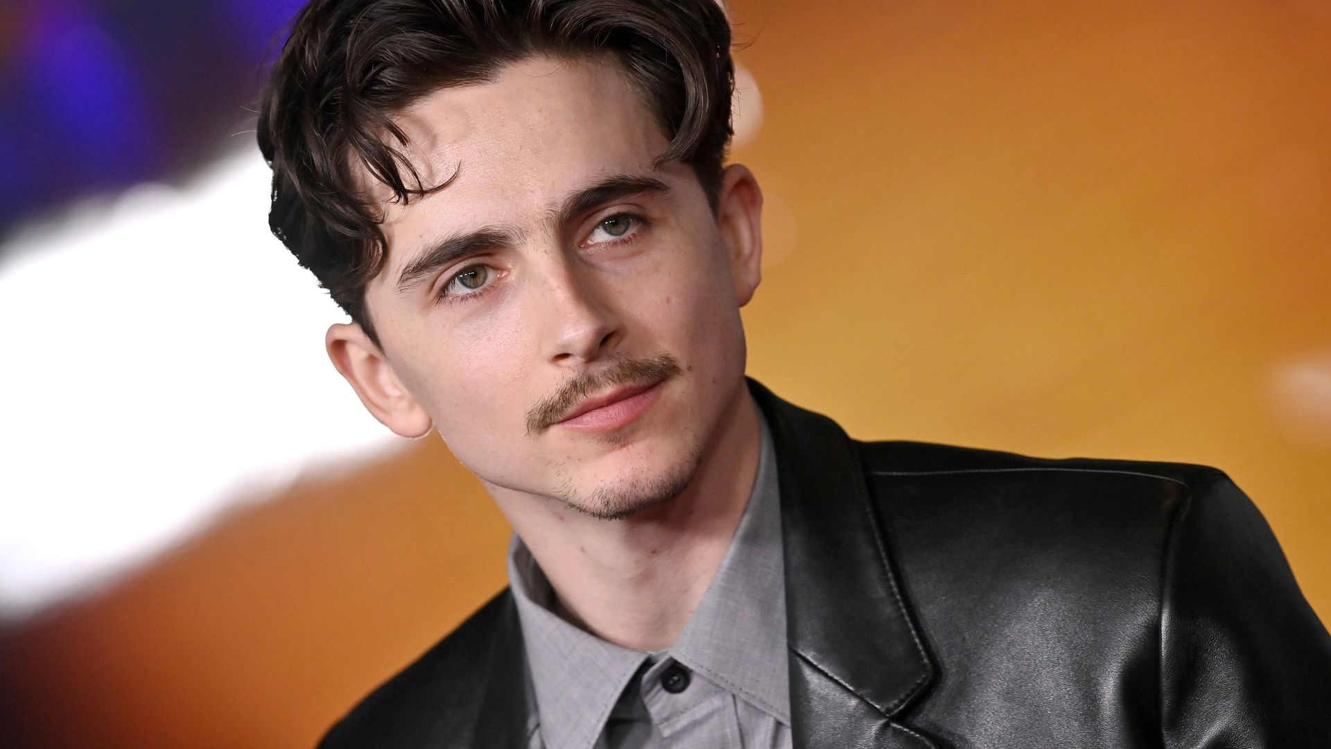 Timothée Chalamet is unrecognisable in new blonde transformation