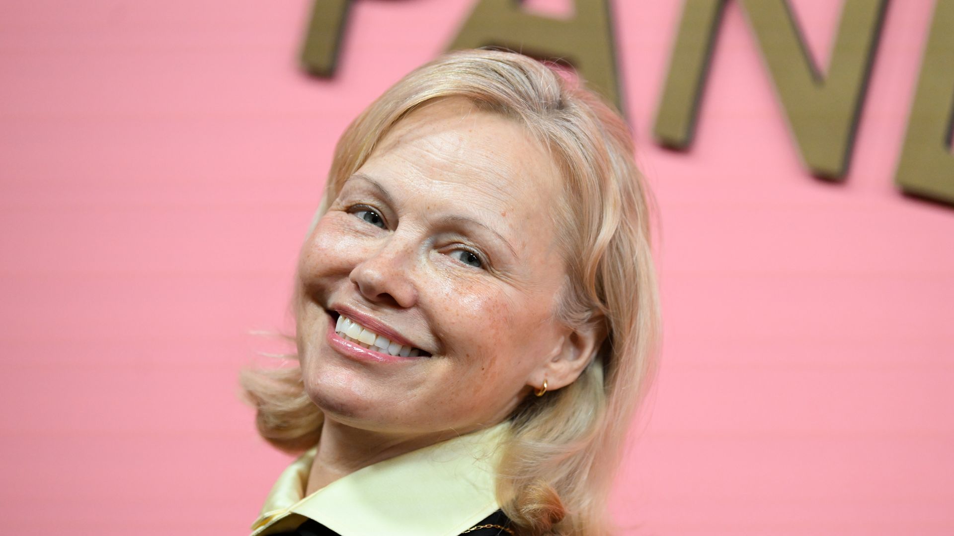 photo of pamela anderson with blonde hair