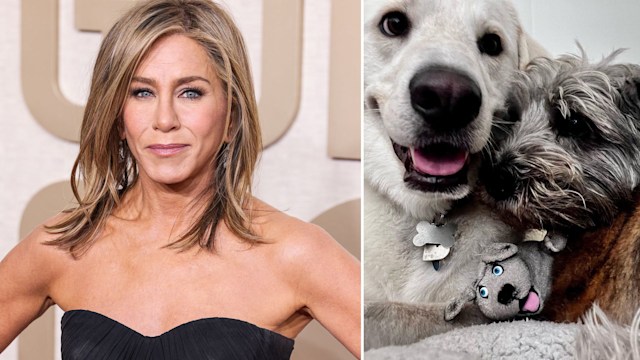 Jennifer Aniston and her two pet dogs