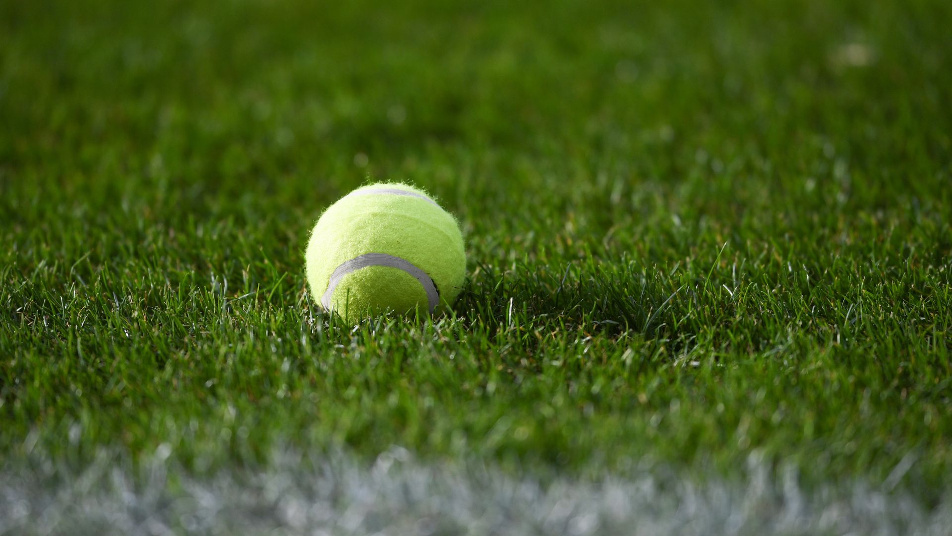 A tennis ball on the pitch 