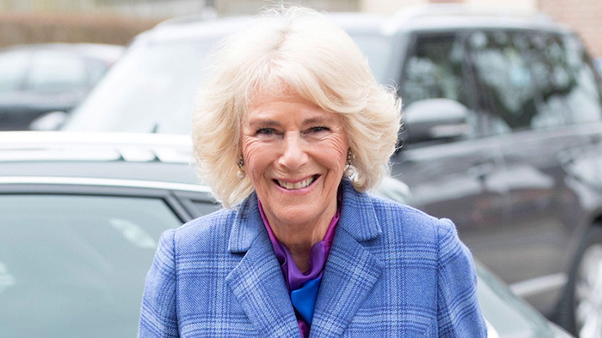 Queen Camilla lauded as 'amazing' and 'handson' granny in sweet(02)