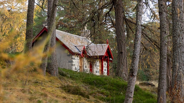 cottage in woodland 