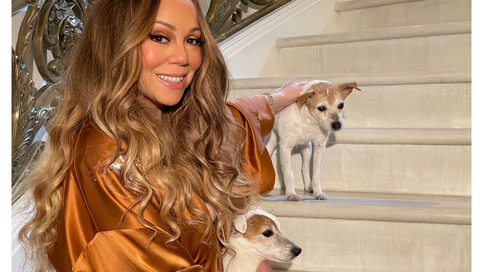 mariah carey on staircase with two dogs