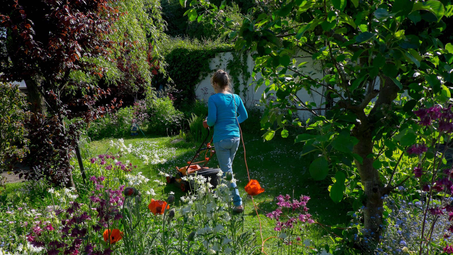 woman mowing lawn with electric mower,