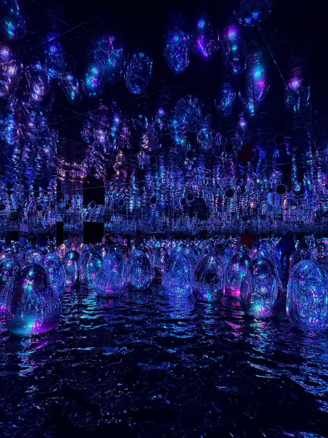 teamlab phenomena abu dhabi