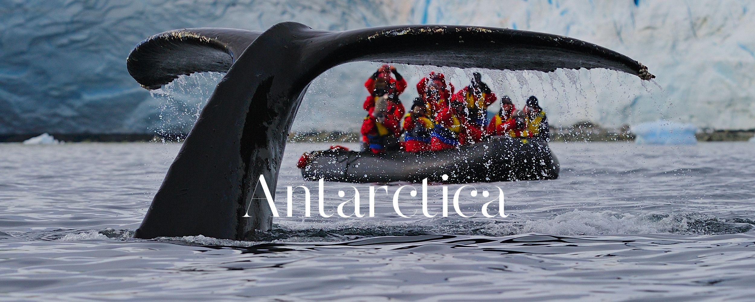 The tail of a whale in Antarctica while some passangers are admiring the view from a small boat.