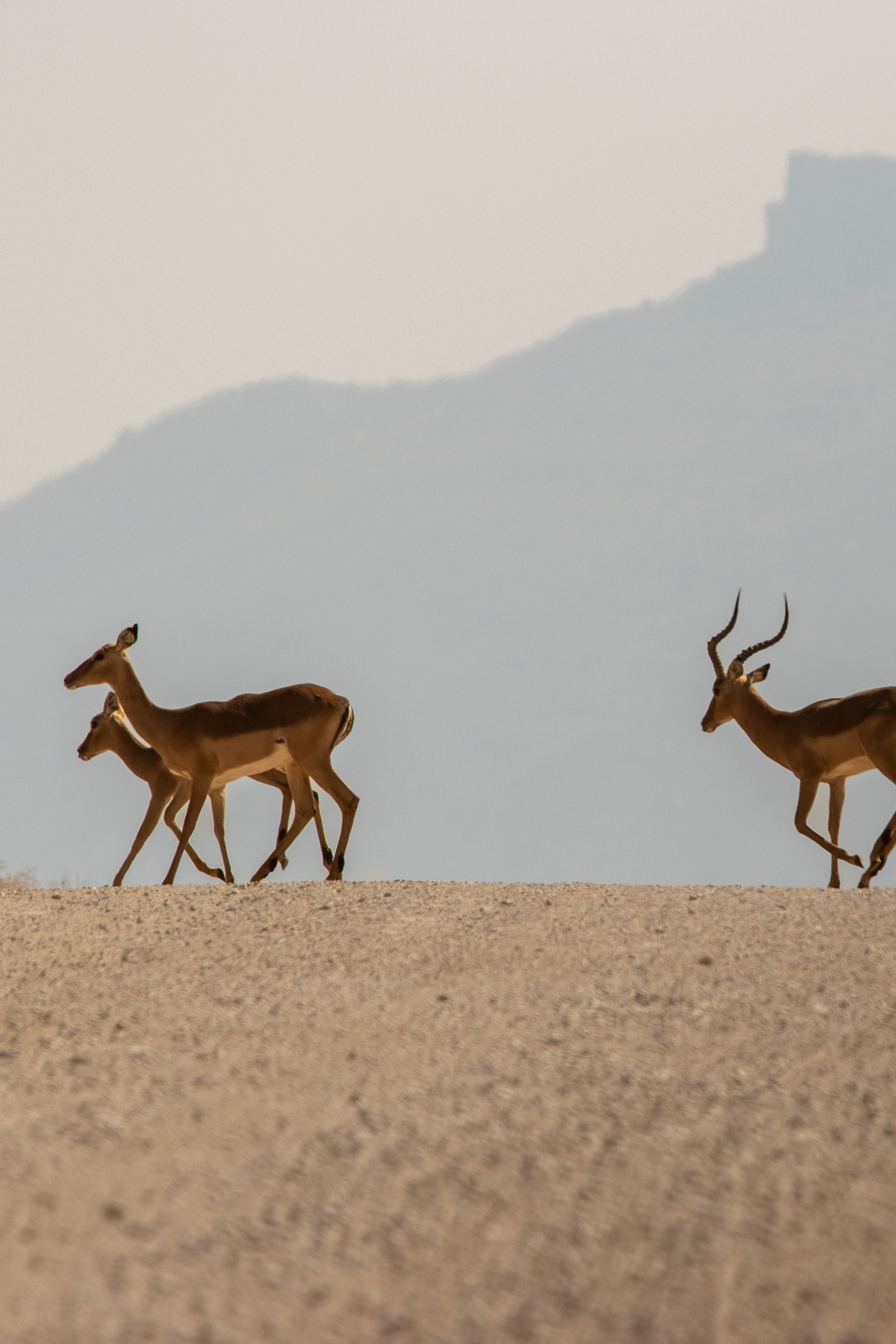 Namibia Land Rover safari