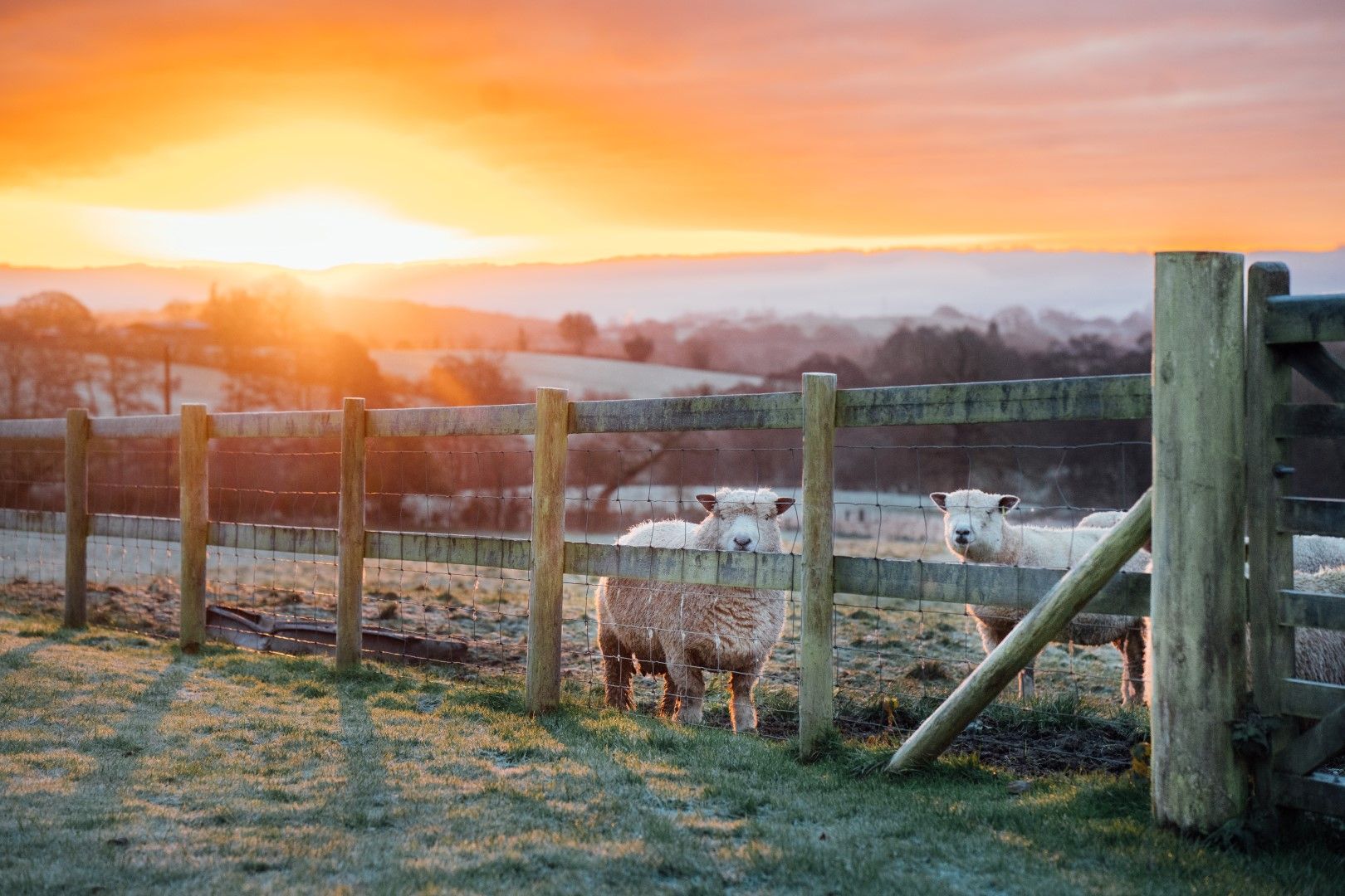 Granges de la ferme de Redford