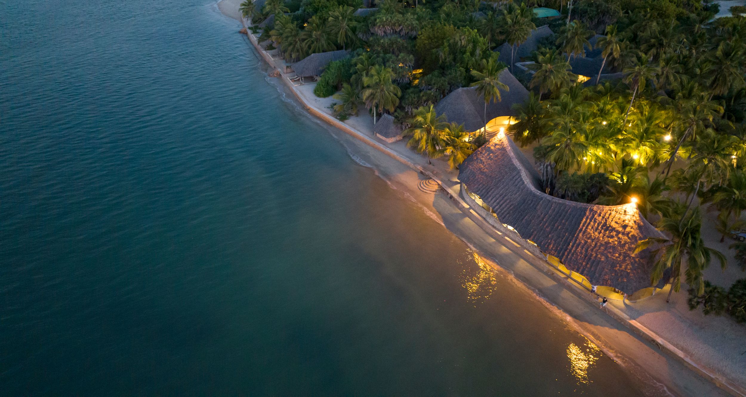 aerial shot of sea and beach with palm trees and villas