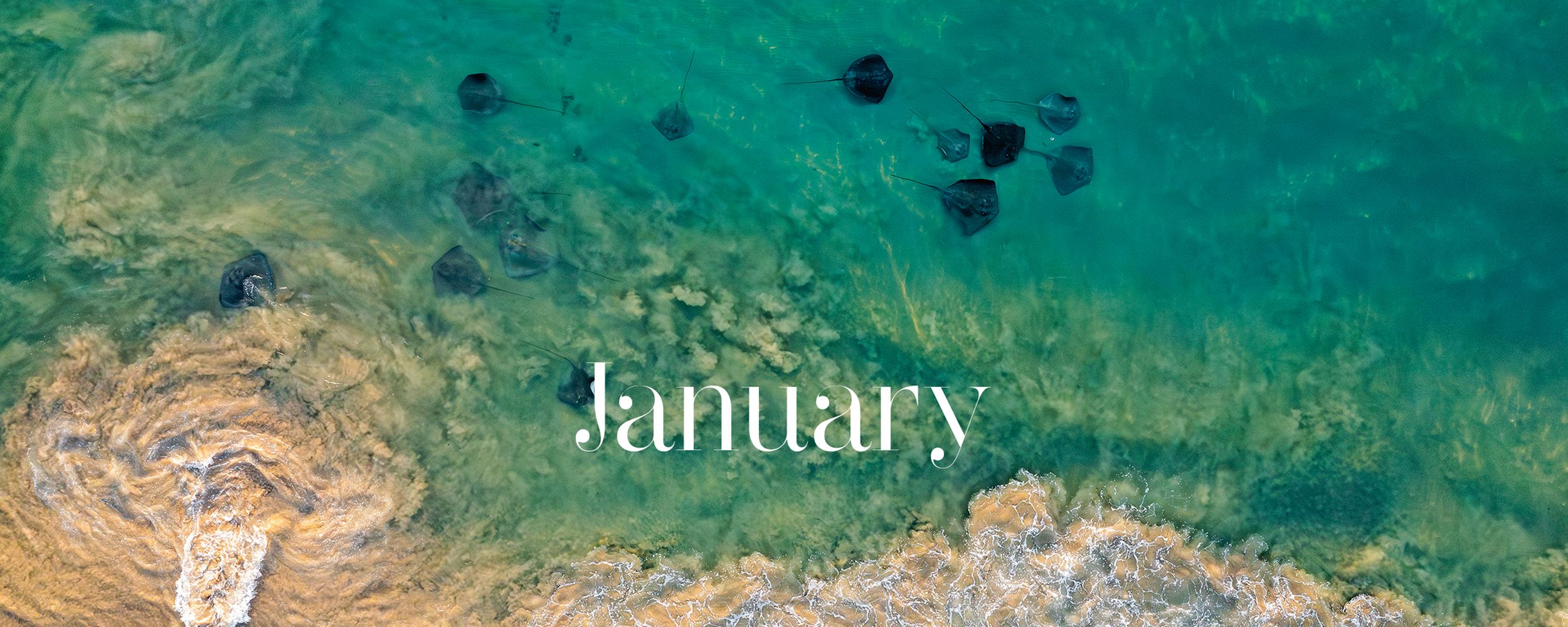 January