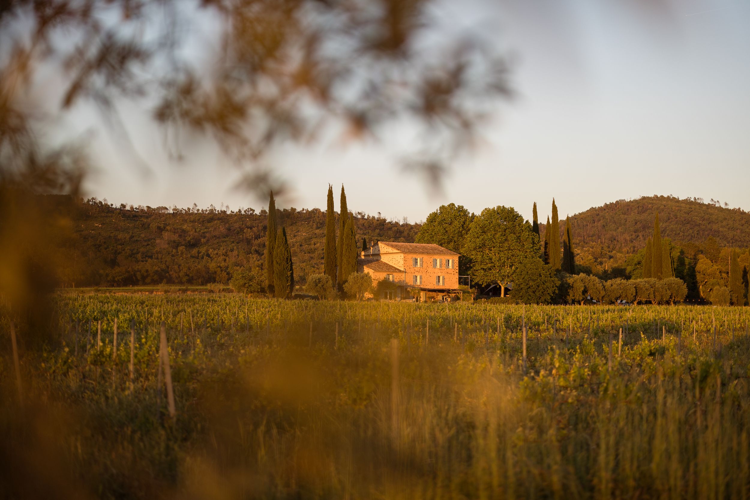 A long shot of Domaine Mirabeau Provençal manor house at golden hour 