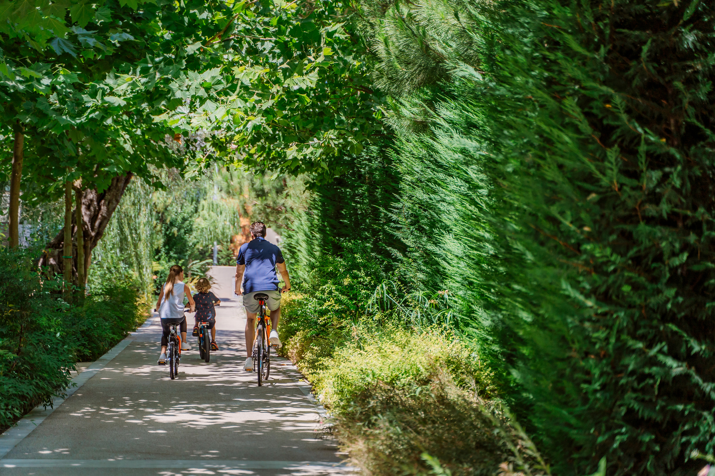 Father and two kids biking down path on holiday