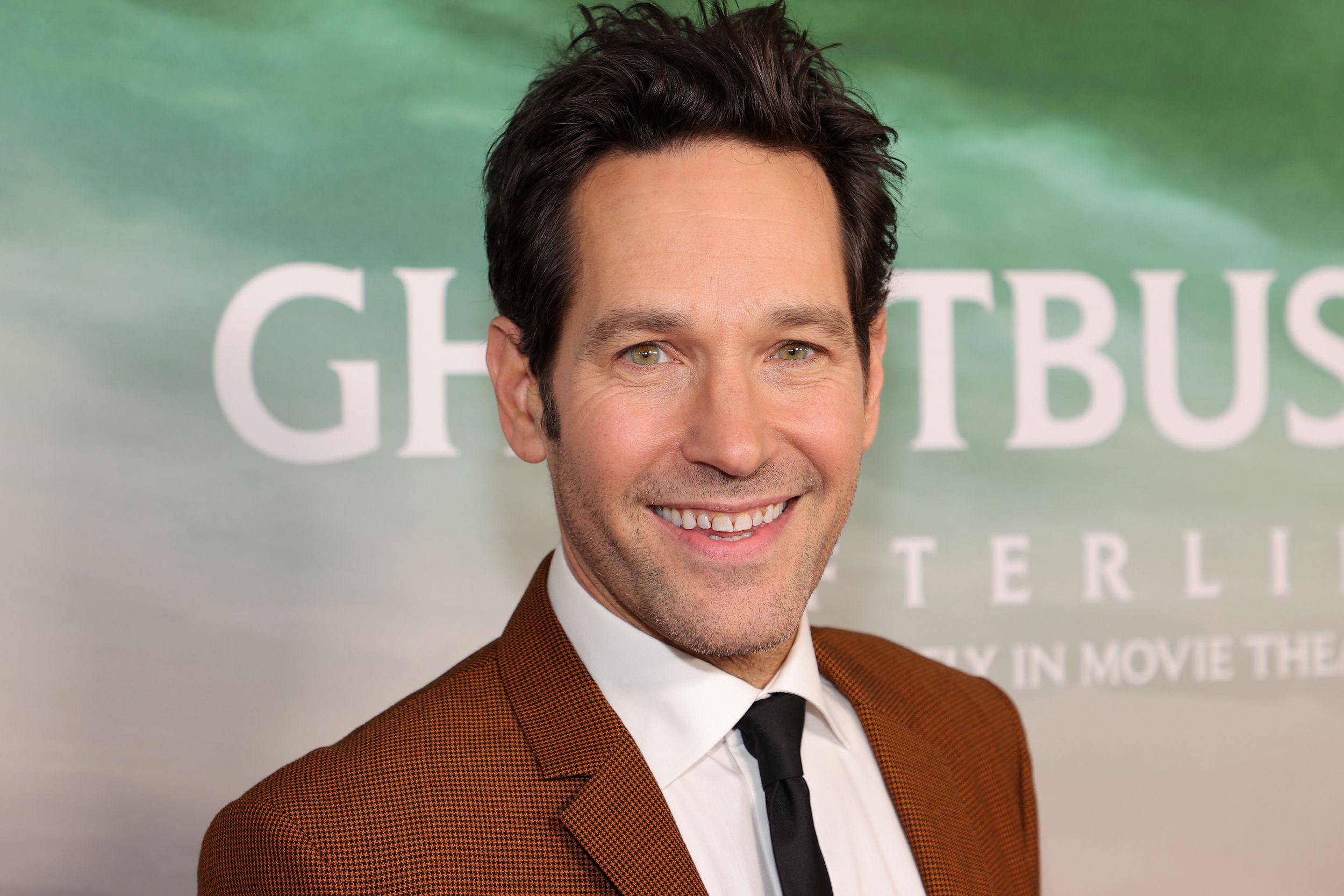Paul Rudd wearing a brown suit