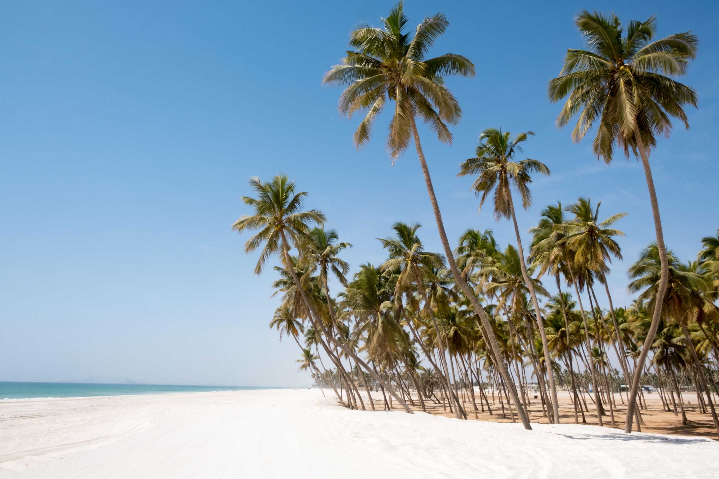 Salalah beach, Dhofar - Sultanate of Oman