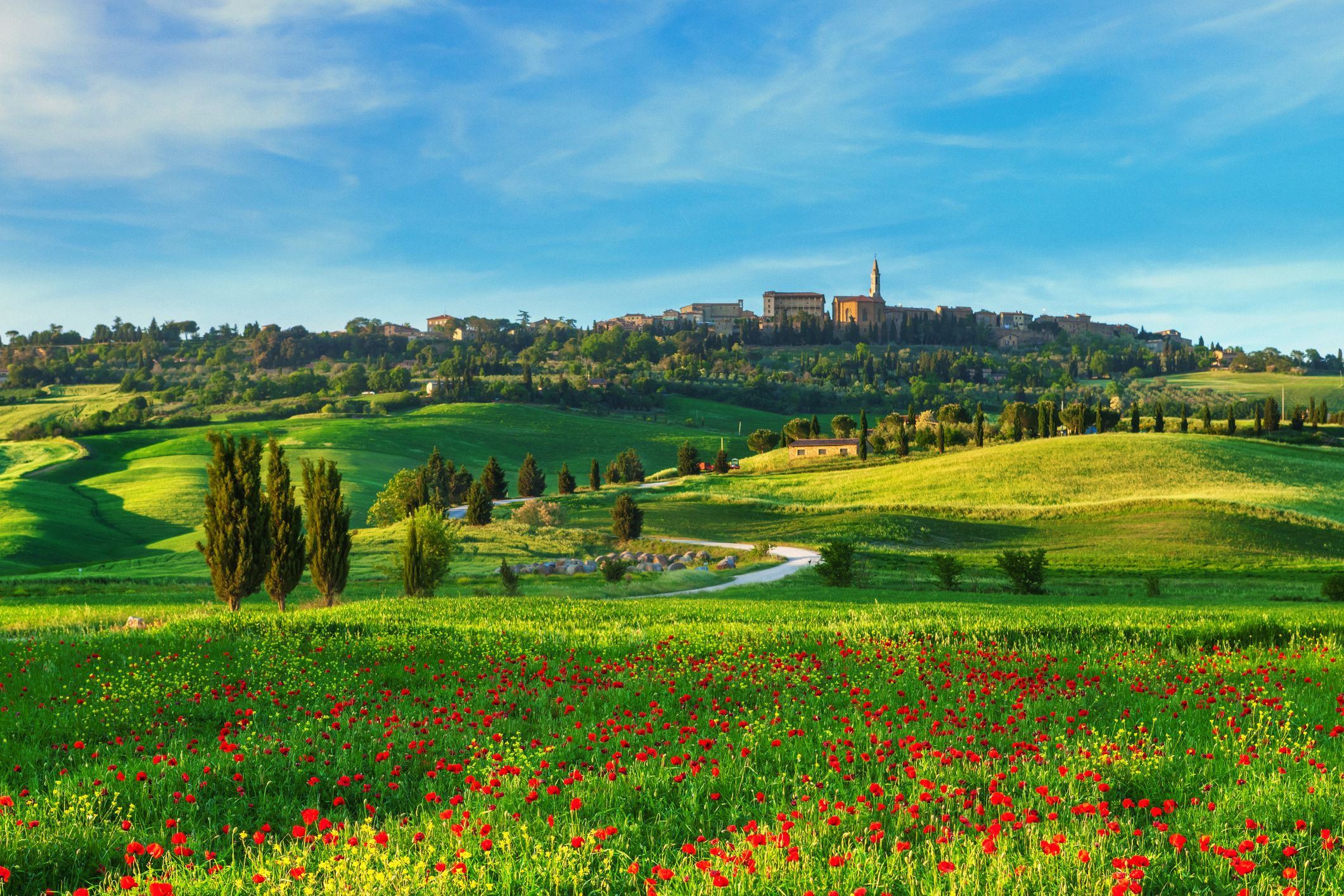 The surroundings of Pienza with poppy field in Val d'Orcia, Tuscany, Italy