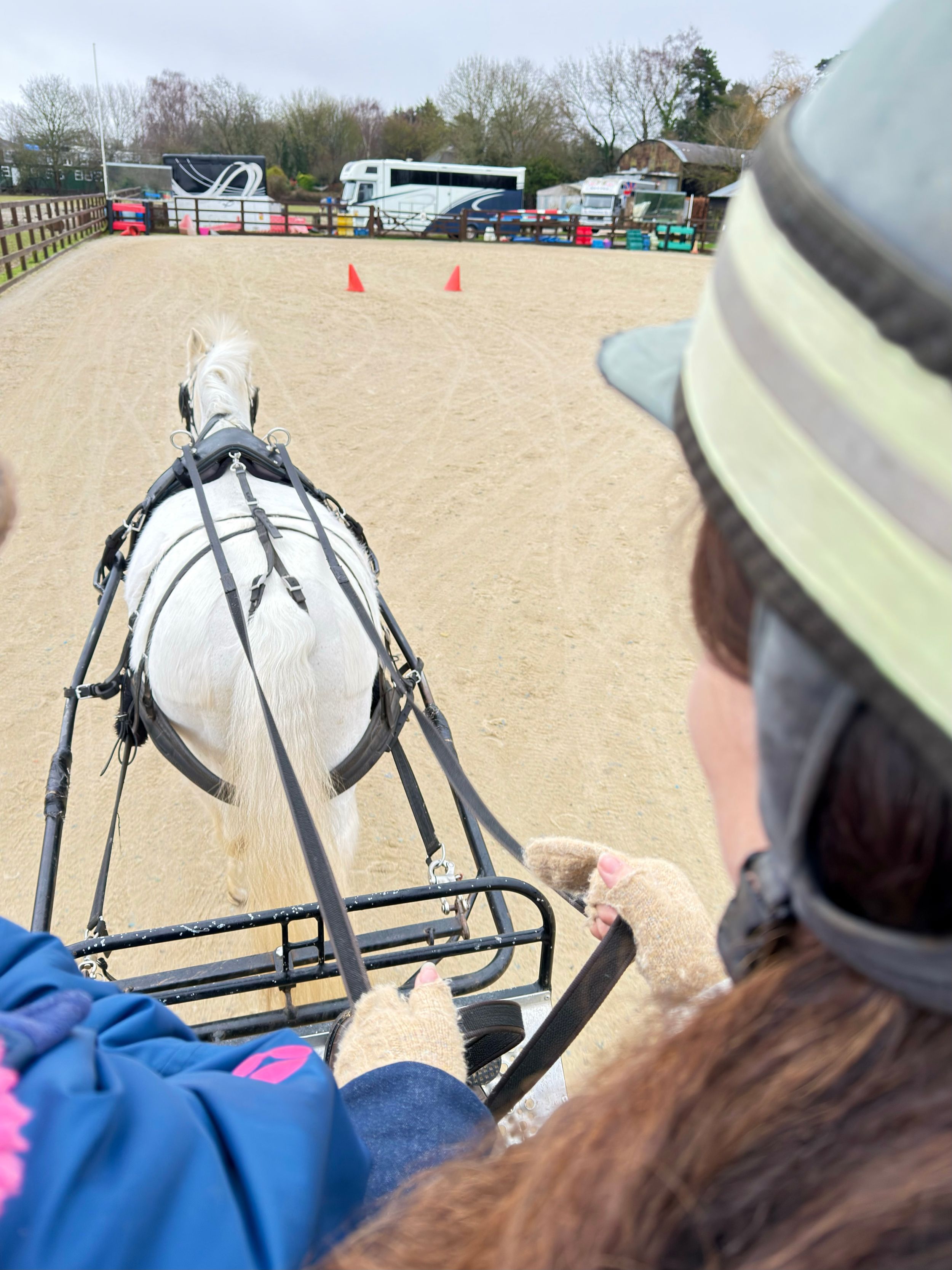 Alex conduisant une calèche