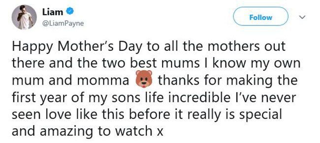 liam payne mothers day tribute