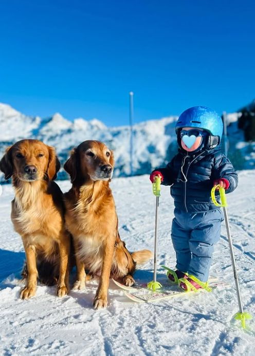 A young child in a blue ski outfit next to two dogs