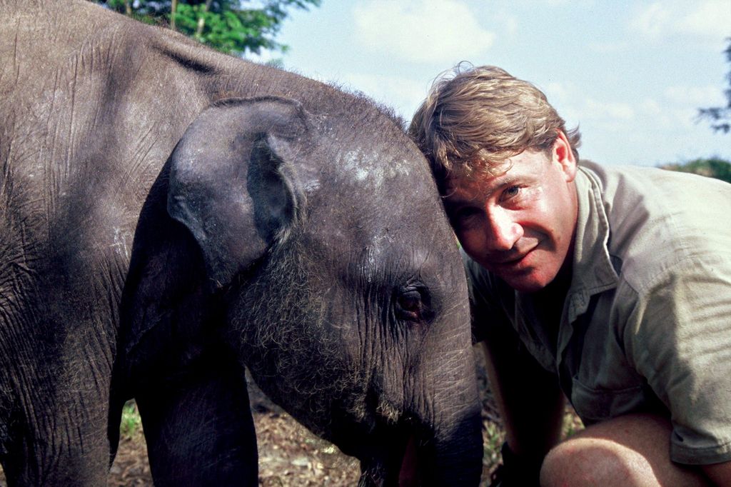 Steve Irwin rests his head on an elephant at Australia Zoo