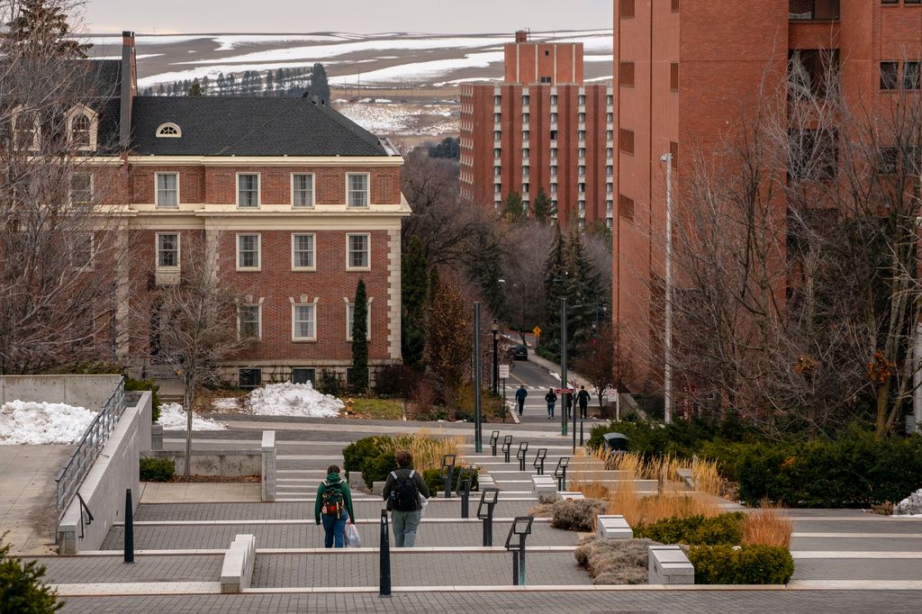 Bryan Kohberger was a student at Washington State University