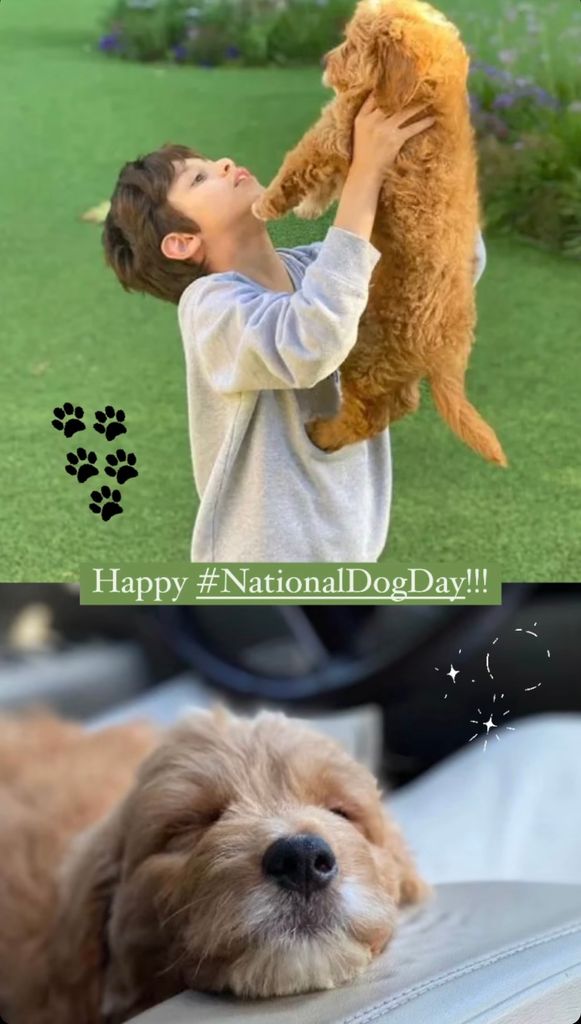Photo shared by Jennifer Lopez on Instagram August 2023 in honor of International Dog Day; in one photo her son Max is holding up a red poodle mix, while in the other the puppy is sleeping.