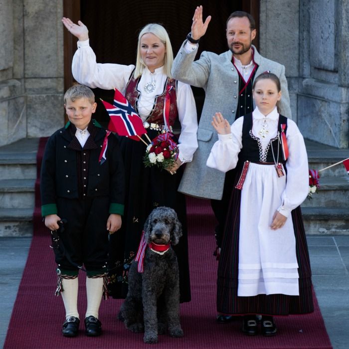 norway dog