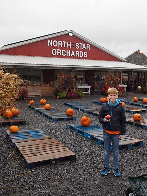 north star orchards