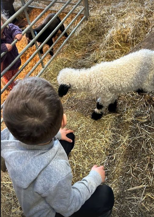 Two children with white and black lambs