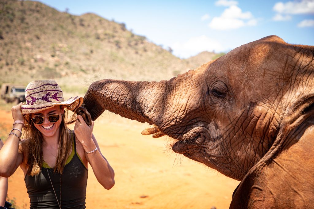 Elephant stealing young woman's hat