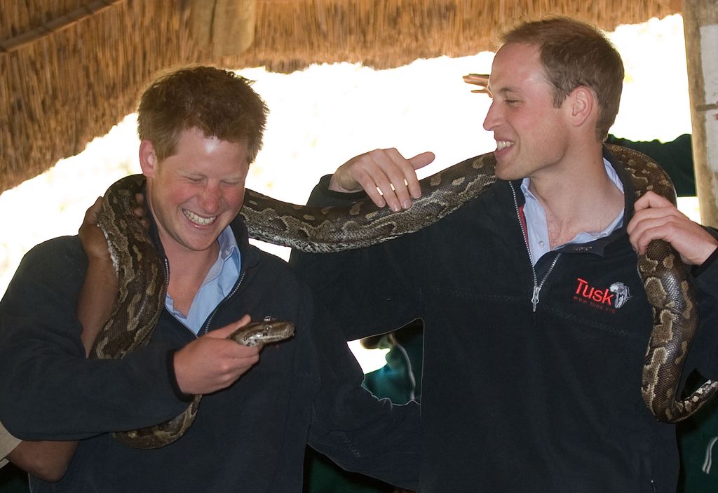 Prince William and Prince Harry laughing with a snake around them