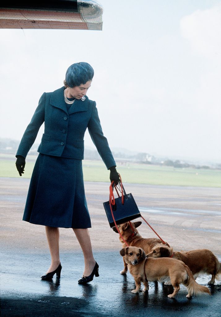 Queen Elizabeth ll arrives at Aberdeen Airport with her corgis to start her holidays in Balmoral, Scotland in 1974