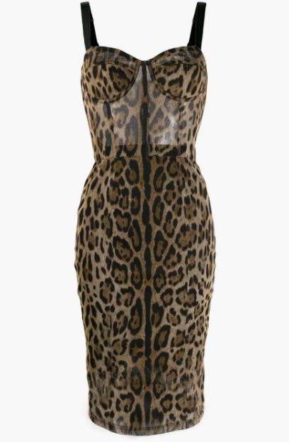 leopard print dolce and gabbana dress