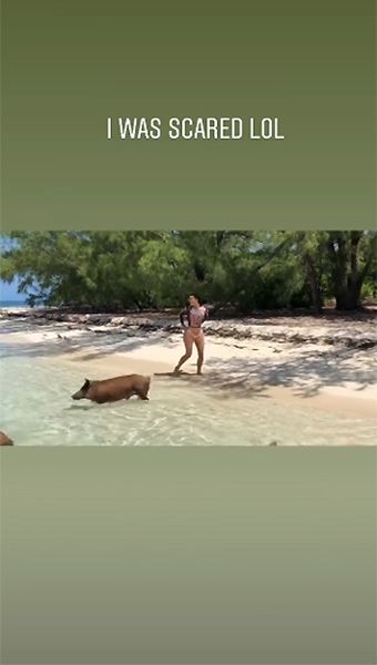 kim kardashian on pig beach