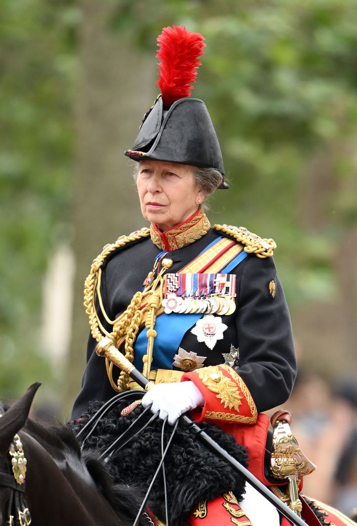 Princess Anne in her military uniform