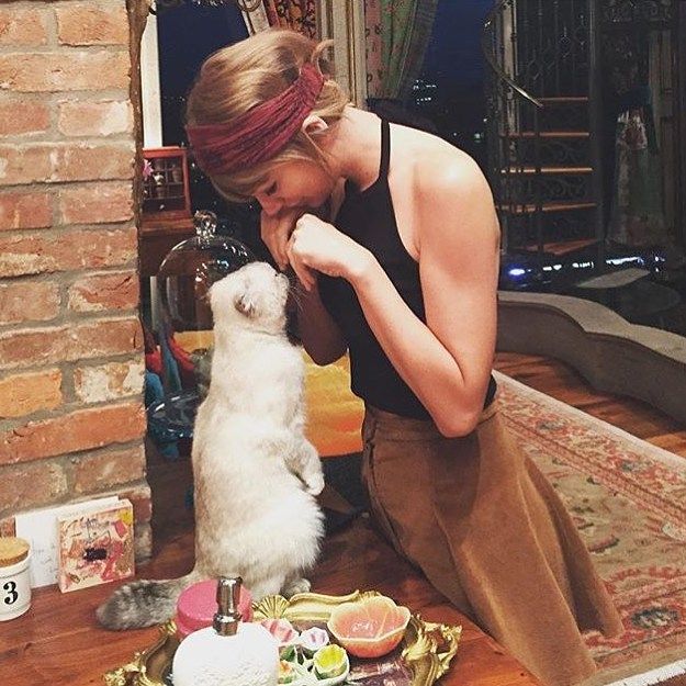 Taylor's cat Olivia is worth an estimated $95million
