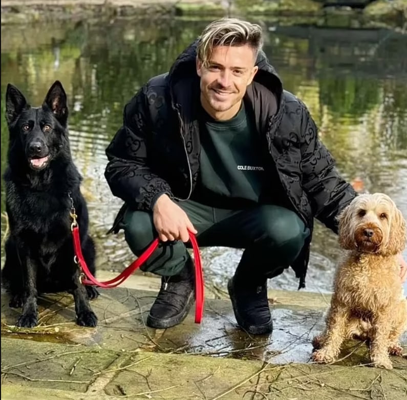 Jack with black security dog and a pet cockapoo