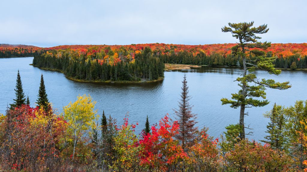 Lake Agnes Overlook Fall