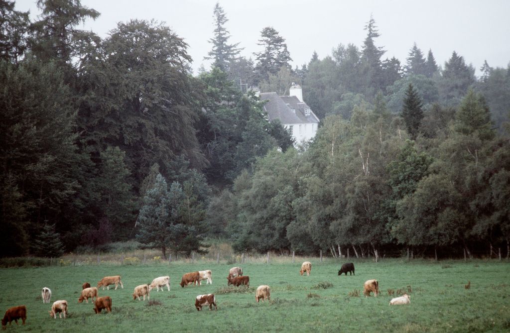 view of birkhall in the distance 