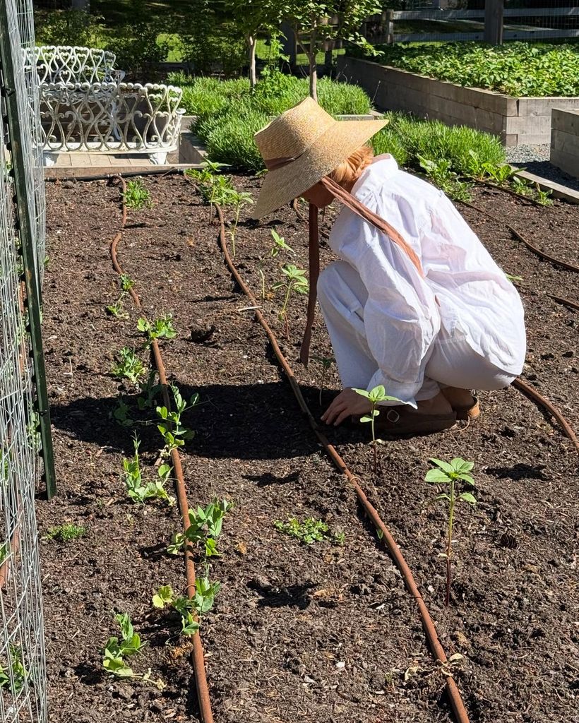 Pamela Anderson à genoux dans le jardinage du chapeau