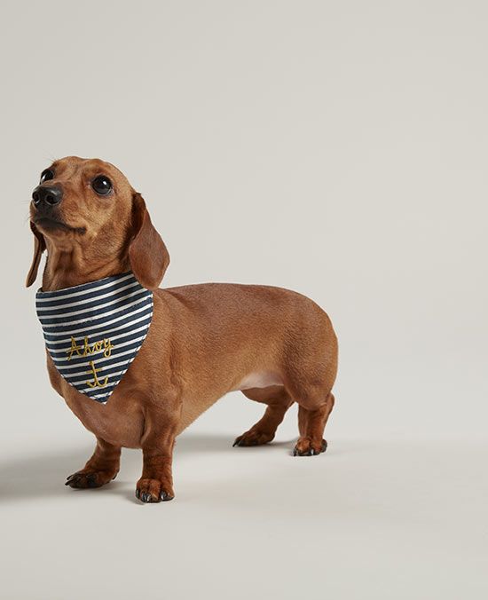 joules nautical