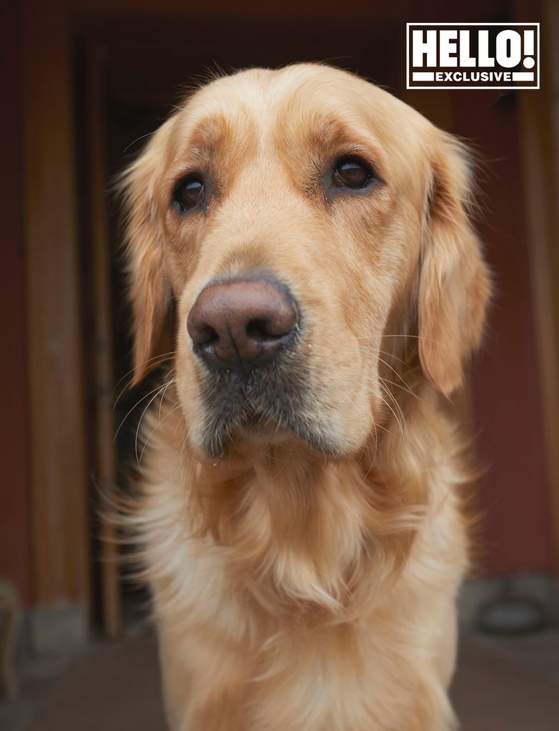 Matthew Kinloch and Johanna Squiban's pet dog at Gilmerton House