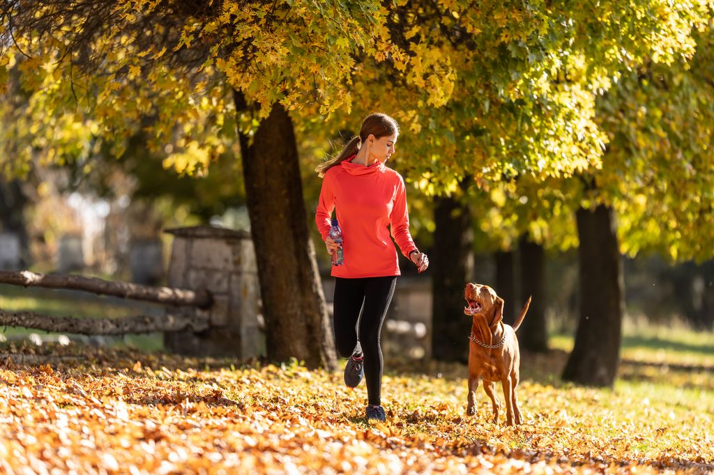 A young sportswoman runs in nature with her dog during warm autumn days