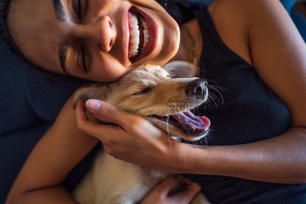 Close-up: A young woman and a puppy have fun cuddling