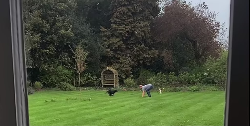 Harry in garden 