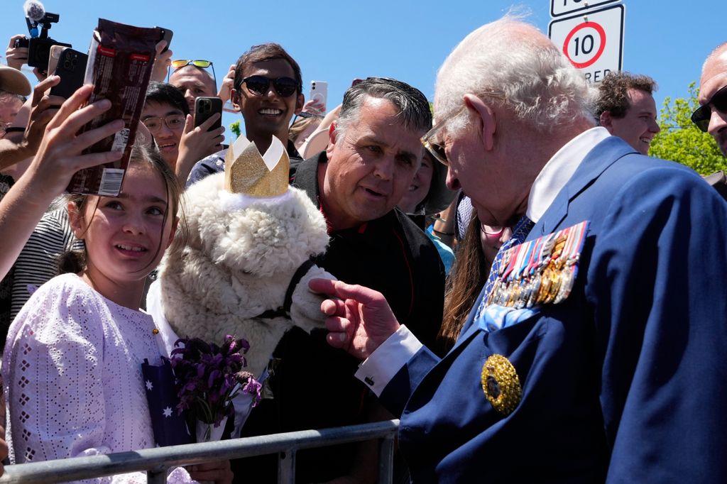 The King reacts as he is introduced to an alpaca named Hephner