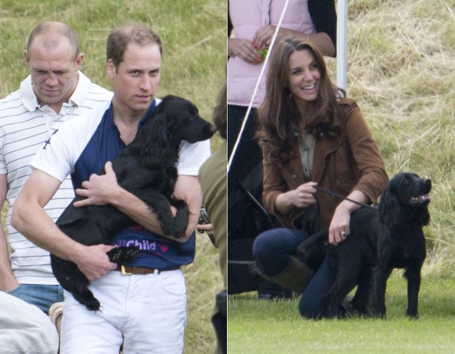 prince william and kate lupo