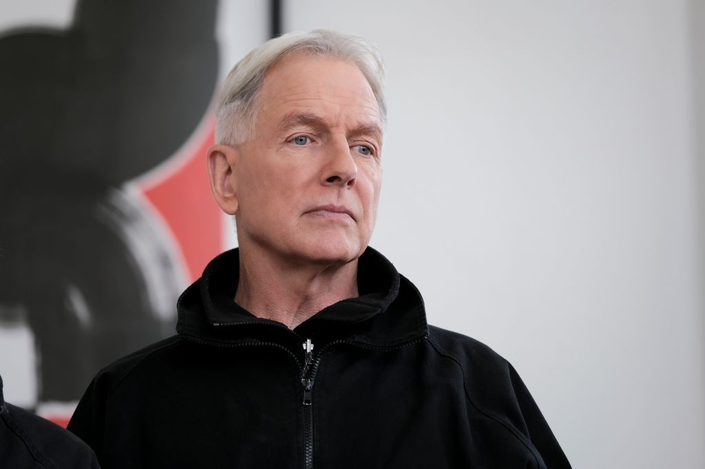 Mark Harmon as NCIS Special Agent Leroy Jethro Gibbs