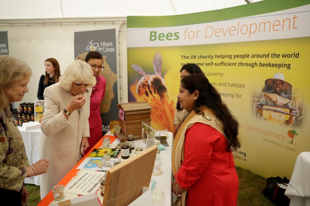 queen camilla tasting honey bees for development party 2019